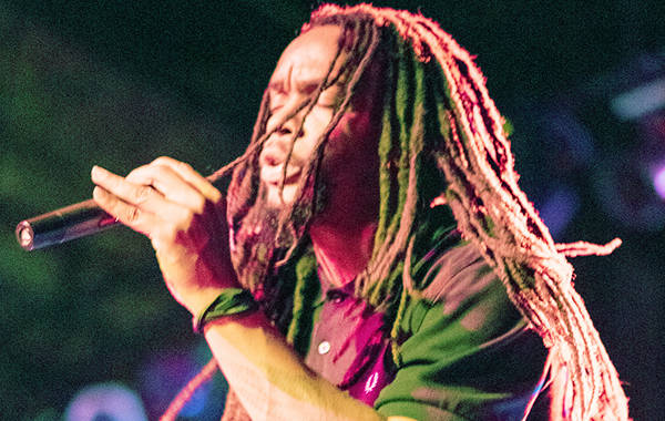 King Schascha by LJ Moskowitz