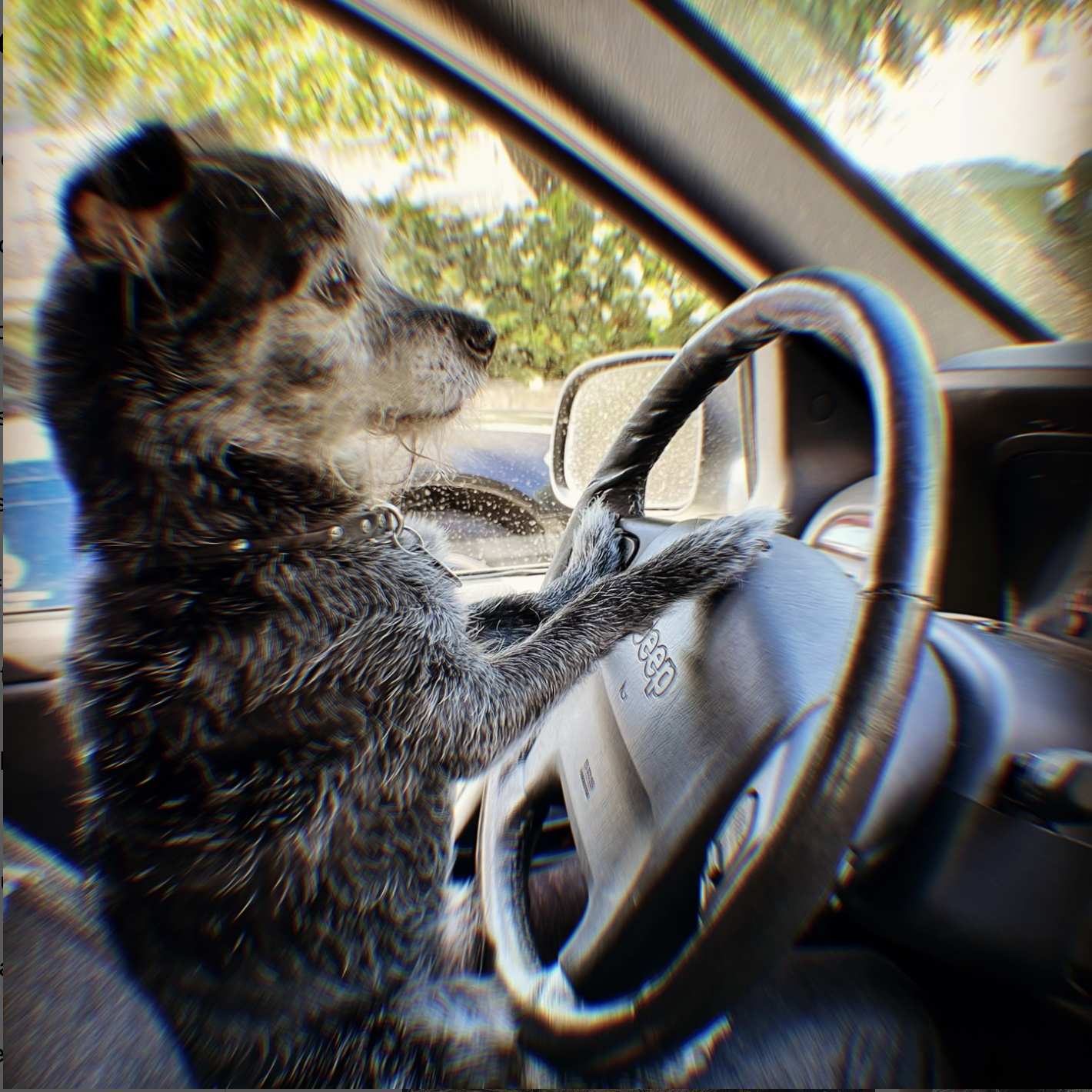 Get in the car! Let's Go!!!